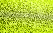 Water Drops on Green Surface
