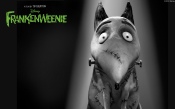 Dog Sparky. Frankenweenie