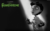 Victor Frankenstein. Frankenweenie