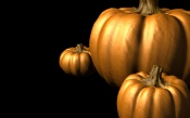 Golden Pumpkins