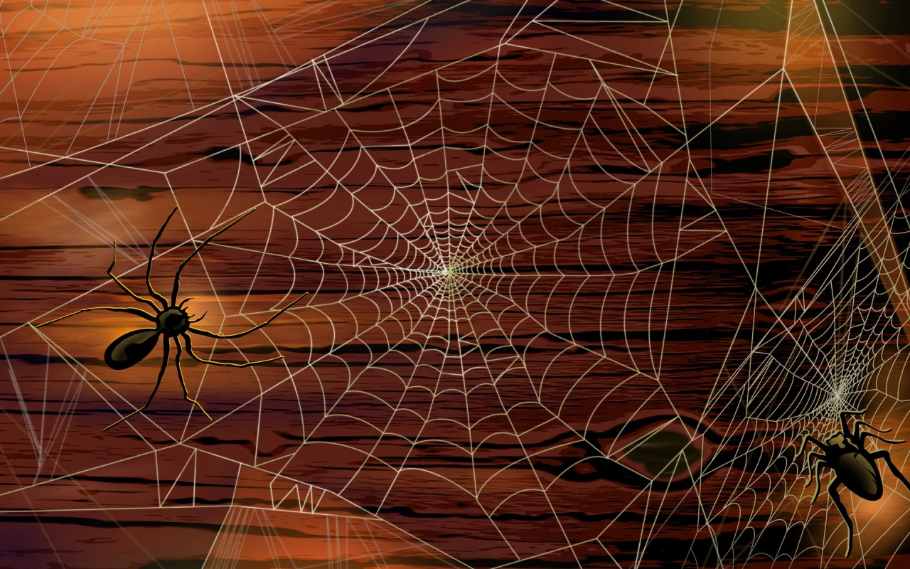 Spiders on the Web