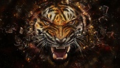 Tiger-Predator