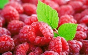 Raspberries And Mint