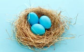 Blue Easter Eggs in a Straw Nest