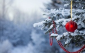 Decorated Christmas Tree in Snow