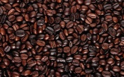 Roasted Coffee Beans