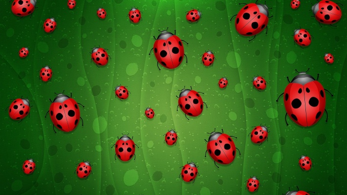 Ladybugs on a Green Background