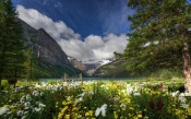 Banff National Park