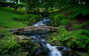 Stone Bridge over a Stream