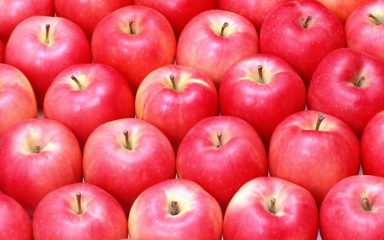 Harvest of Ripe Apples