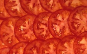 Background of Rings Tomatoes