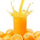 Freshly Squeezed Orange Juice