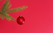 Christmas Branch with Red Ball 2560x1600