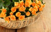 Orange Roses in a Basket