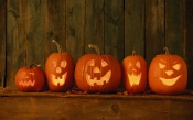 Pumpkins with Different Mugs