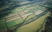 The Ground from the Height of Avian Flight