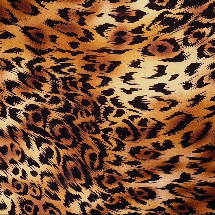 Color Leopard