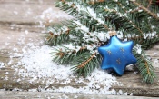 Christmas Branch in the Snow