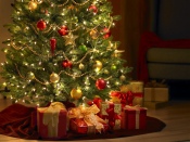 Presents under the Tree