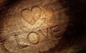 Heart on a Tree Stump