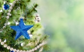 White Beads, Blue Stars on a Green Christmas Tree