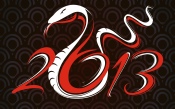 Year of the Snake 2013