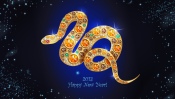 Year of the Snake, a Happy New Year