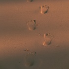 Footprints in the Sand