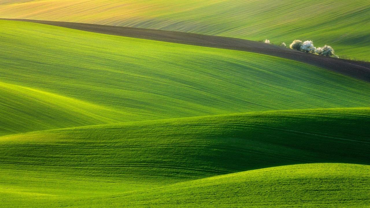 Beautiful Green Hills