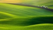 Beautiful Green Hills