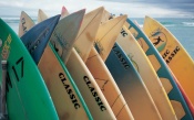 Surfing Boards