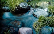 Blue Mountain Stream