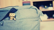 Danboard Traveler