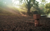 Danboard Walks in the Park