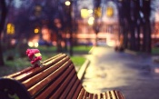 Quiet Reflection on the Bench in the Park