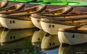 Boats in The Park