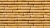 Bamboo Texture