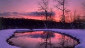 Pink and Violet, Sunset