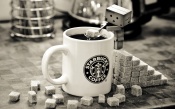 Danbo, Coffee, Sugar