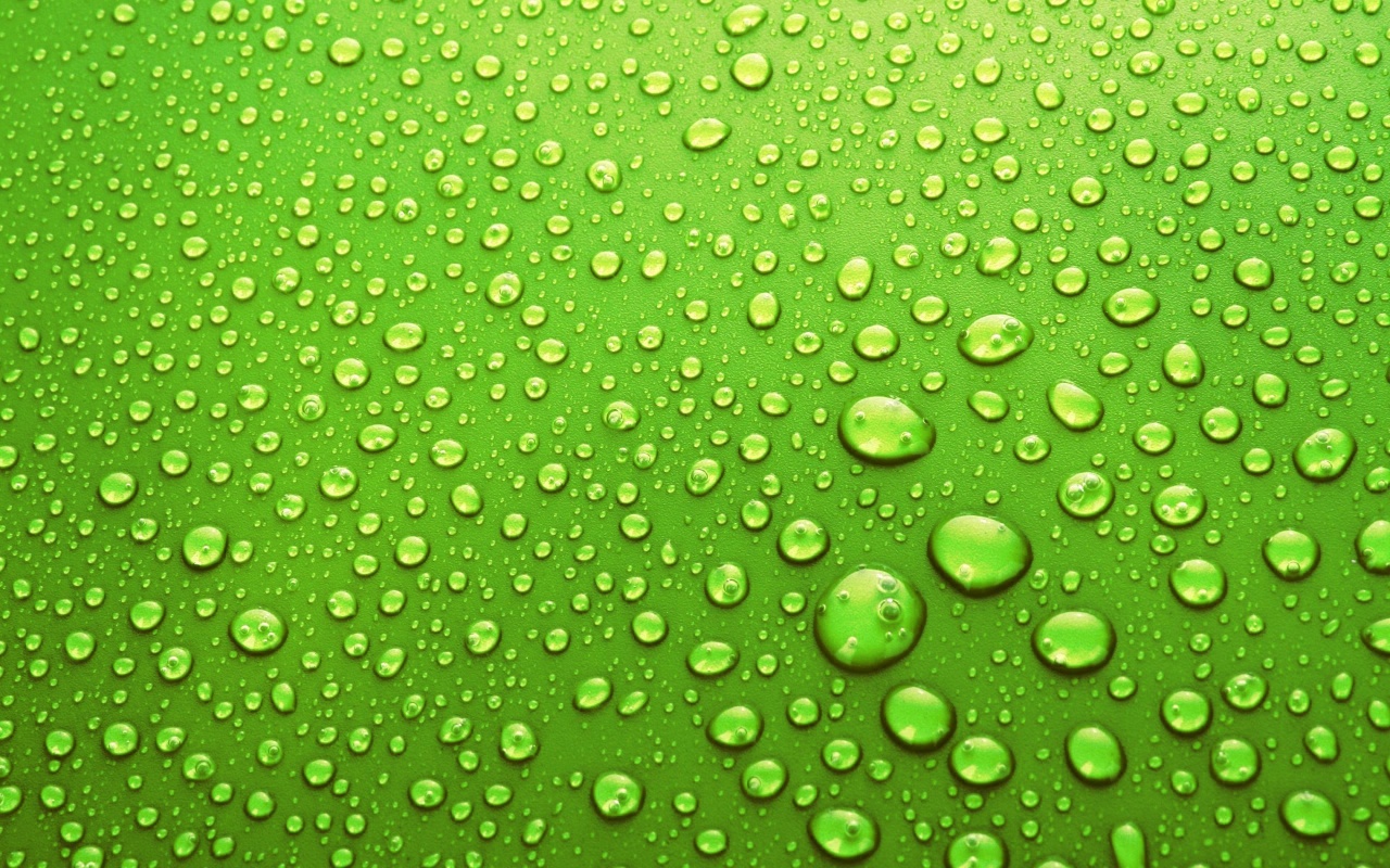 Drops of Water on the Green Skin