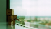 Danboard Look Out the Window