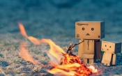 Danboard: Bonfire on the Beach