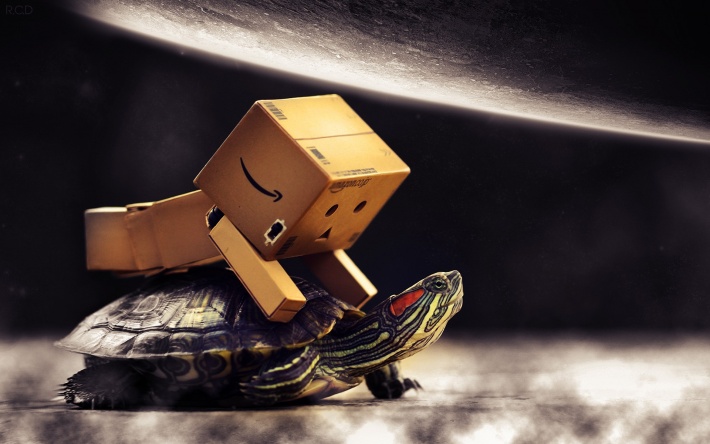 Danboard Saddled Turtle