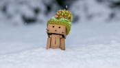 Danboard Snowdrift