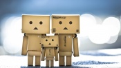 Danboard Family