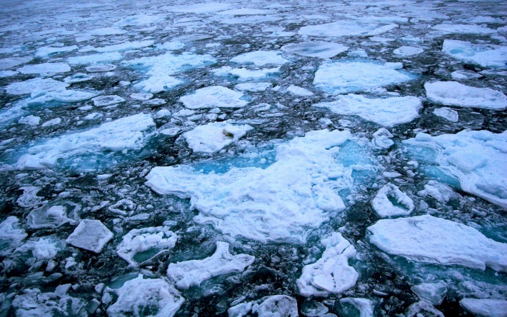 Arctic Ice