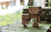 Danboard and Dandelion