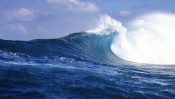 Big Blue Wave