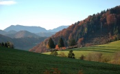 Mountains, Forests