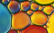 Multi Colored Bubbles